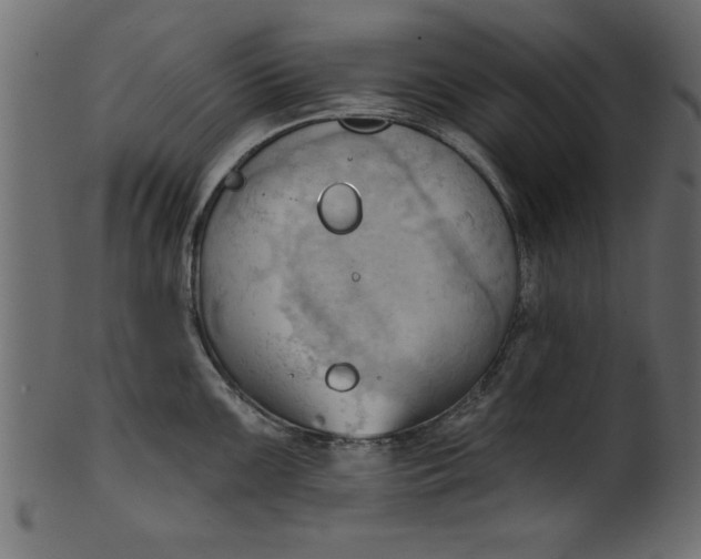 X0000101211099200807181412