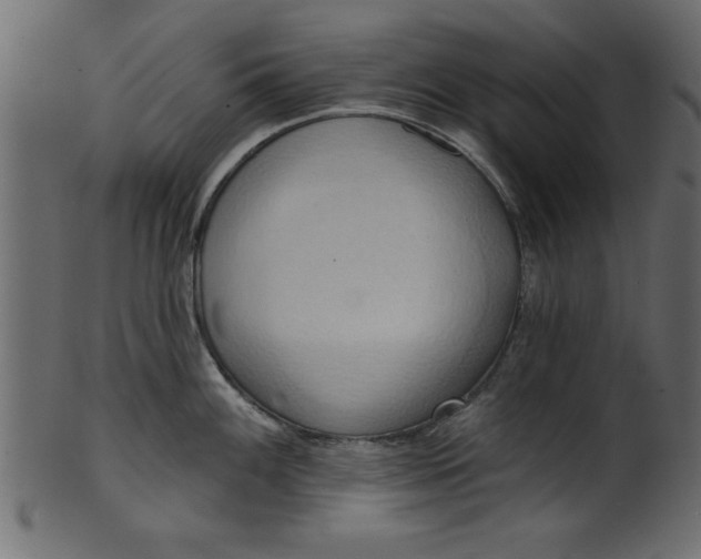 X0000101211100200807181412