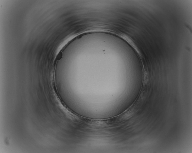 X0000101211101200807181412