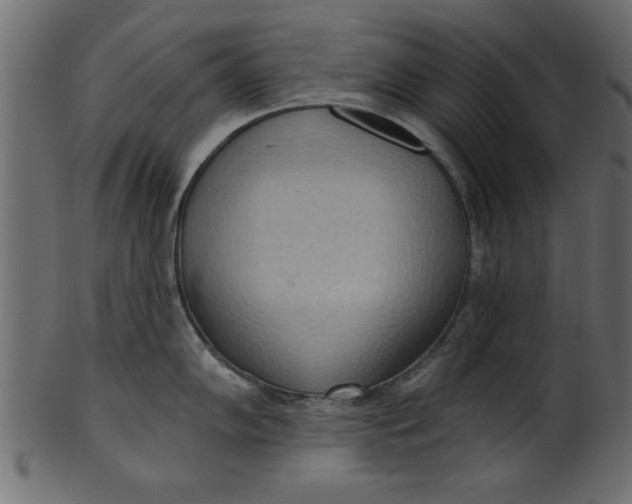 X0000101211102200807181412