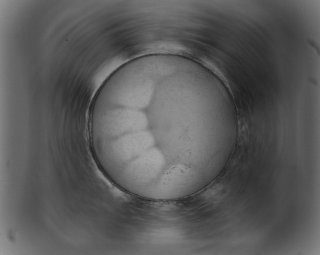 X0000101211103200807181412