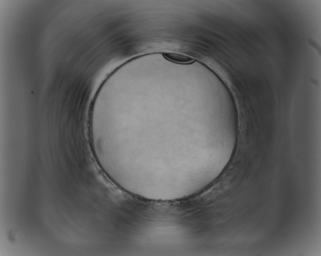 X0000101211104200807181412