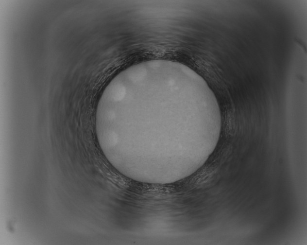 X0000101211105200807181411