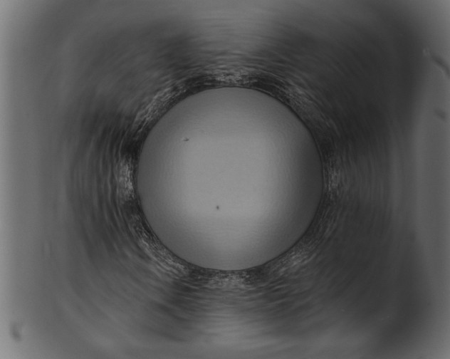 X0000101211106200807181411