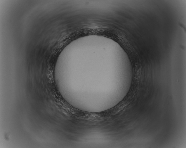 X0000101211109200807181411