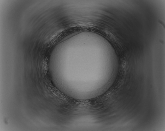 X0000101211110200807181412