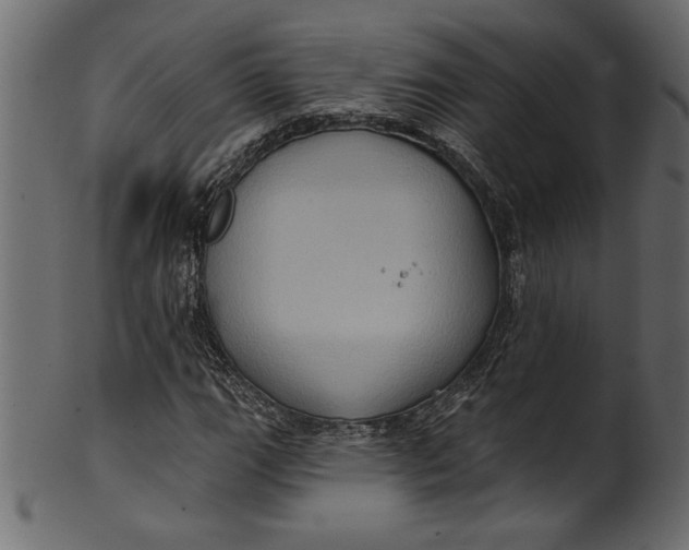 X0000101211111200807181412