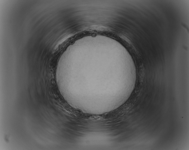 X0000101211112200807181412