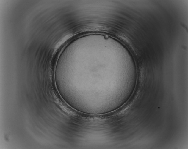 X0000101211114200807181412