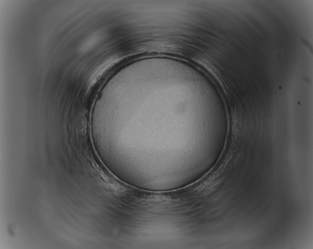 X0000101211115200807181412