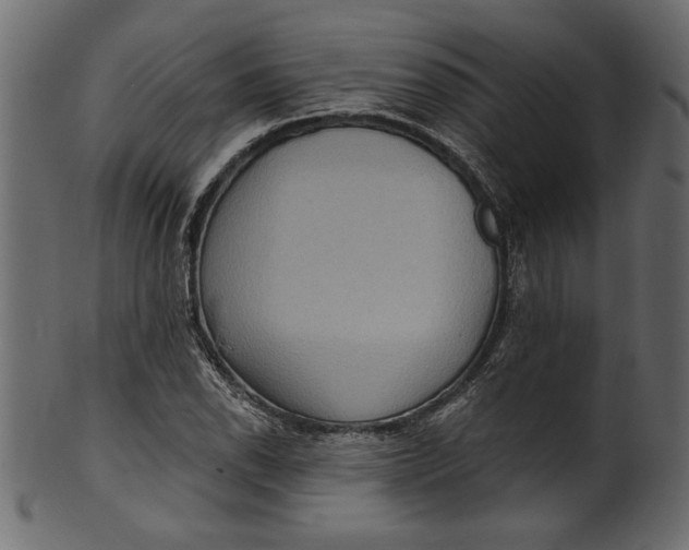 X0000101211118200807181412