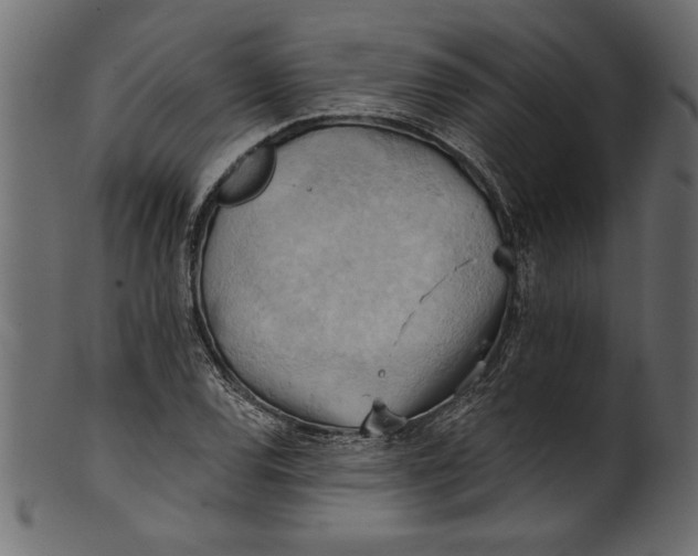 X0000101211120200807181412