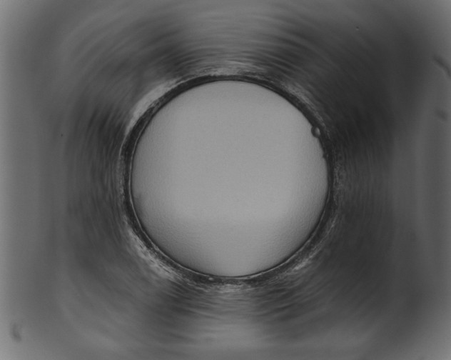 X0000101211122200807181412