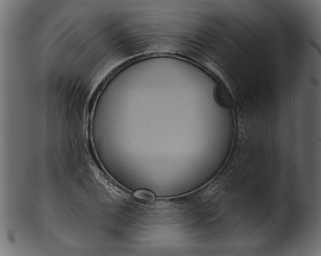 X0000101211124200807181412