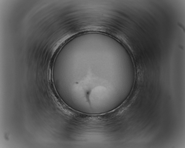 X0000101211125200807181412