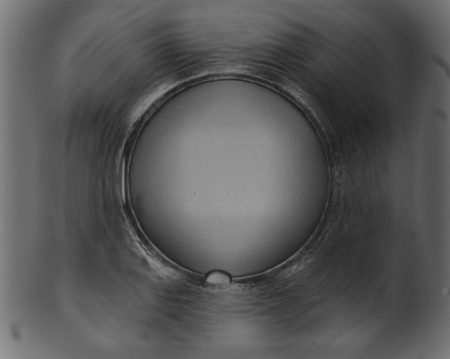 X0000101211127200807181412