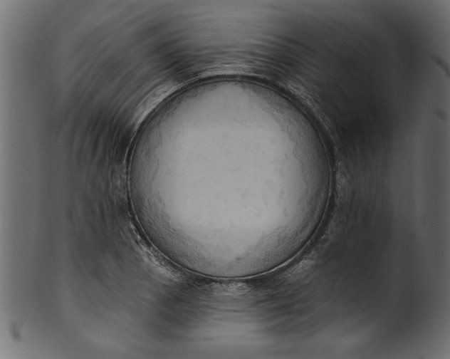 X0000101211129200807181412