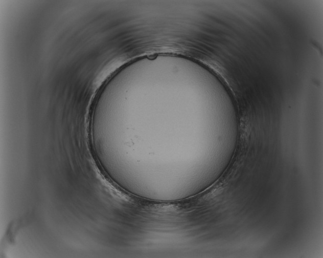 X0000101211135200807181412