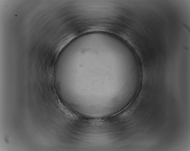 X0000101211137200807181412