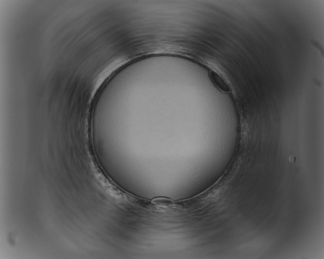 X0000101211138200807181412