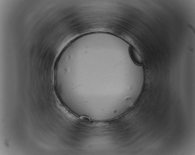 X0000101211140200807181412