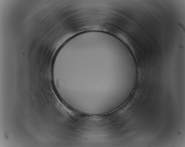 X0000101211141200807181412