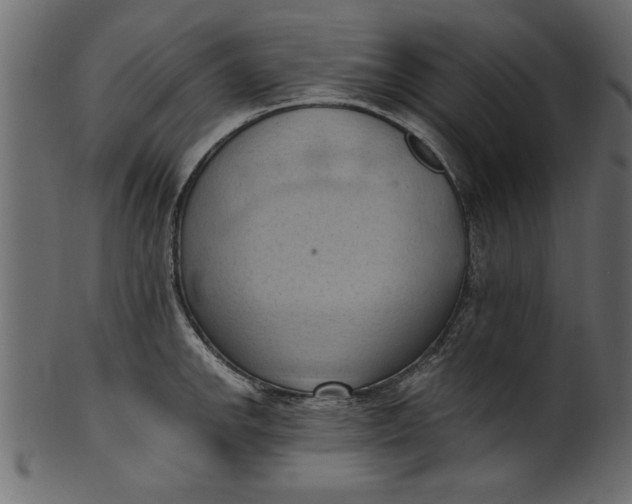 X0000101211142200807181412