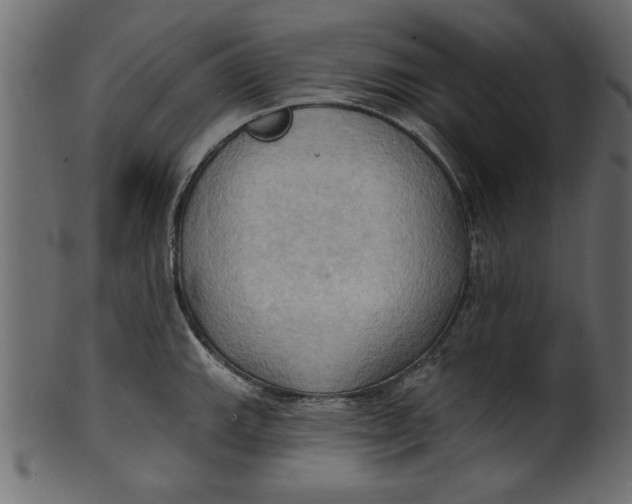 X0000101211143200807181412