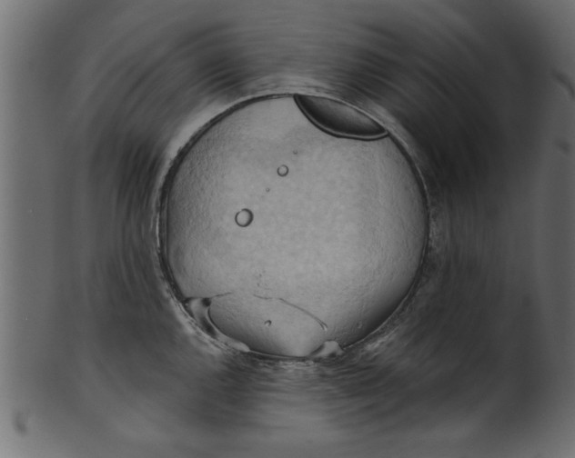 X0000101211144200807181412