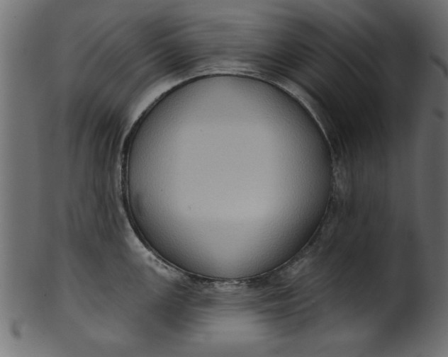 X0000101211147200807181412