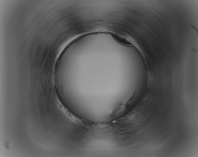 X0000101211148200807181412