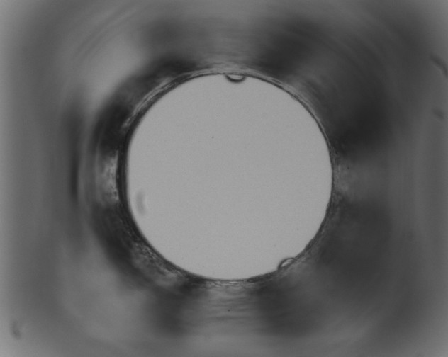 X0000101211150200807181412