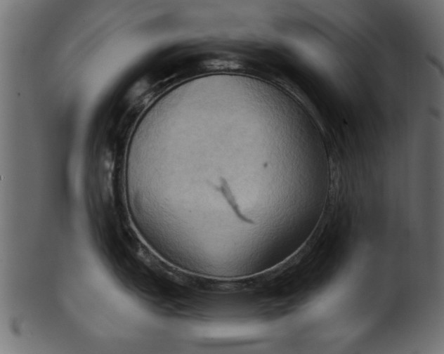 X0000101211151200807181412