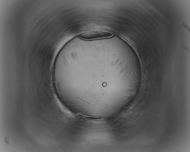 X0000101211152200807181412