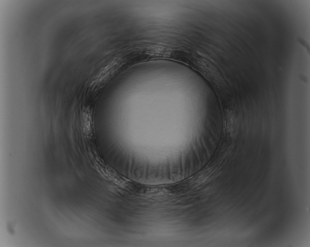 X0000101211154200807181411