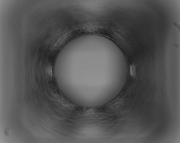 X0000101211155200807181411