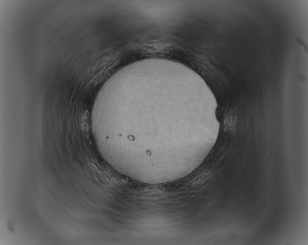 X0000101211156200807181411