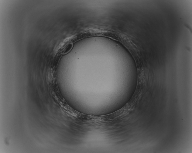 X0000101211157200807181411