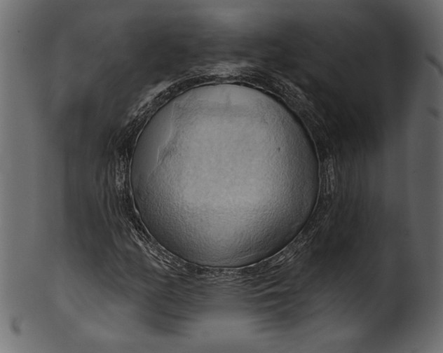 X0000101211158200807181411