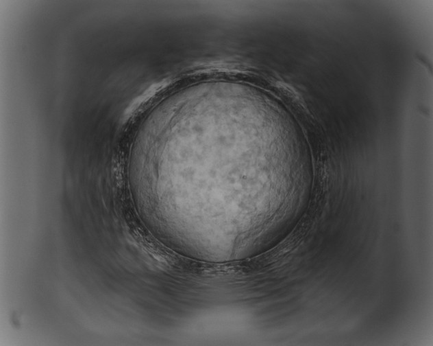 X0000101211159200807181411