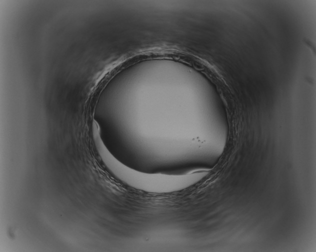 X0000101211160200807181411