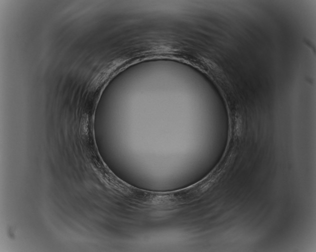 X0000101211161200807181411