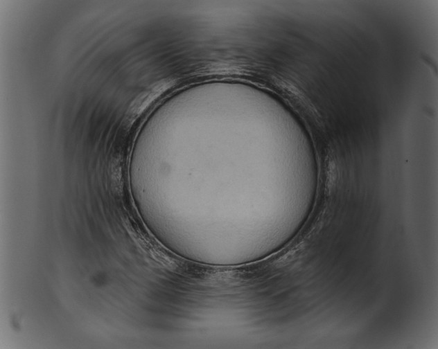 X0000101211162200807181411