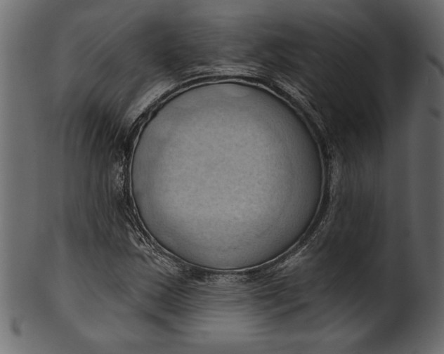 X0000101211163200807181411