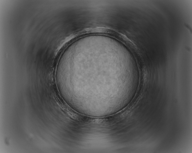 X0000101211166200807181411