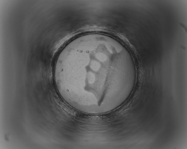 X0000101211167200807181411