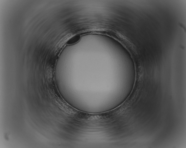 X0000101211169200807181411