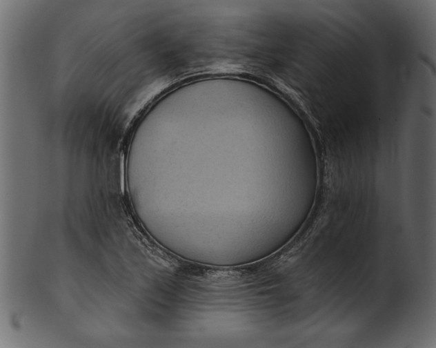 X0000101211171200807181411