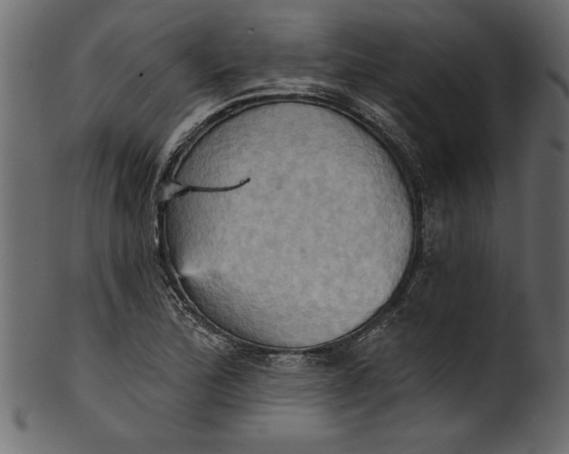 X0000101211172200807181411