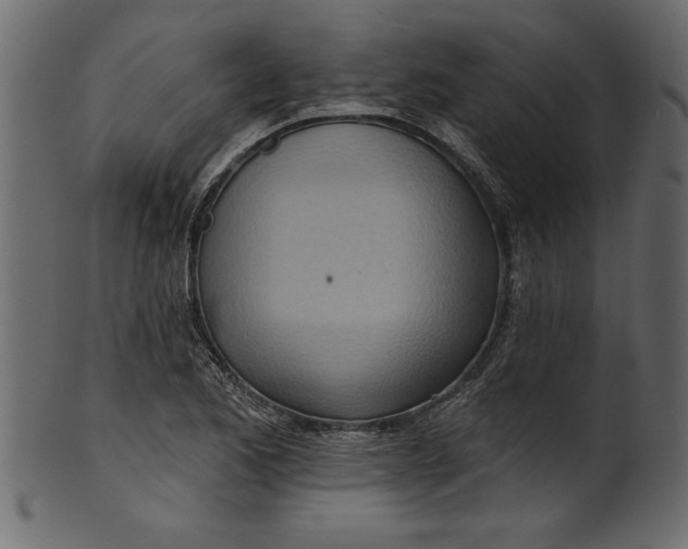 X0000101211173200807181411